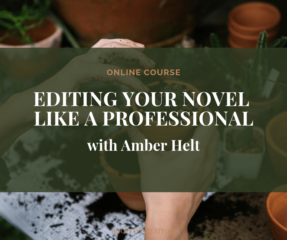 Editing Your Novel Like A Professional